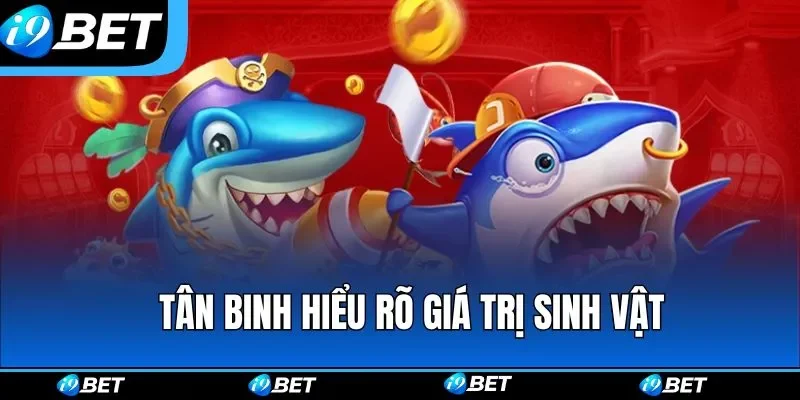 Tân binh hiểu rõ giá trị sinh vật Tân binh hiểu rõ giá trị sinh vật