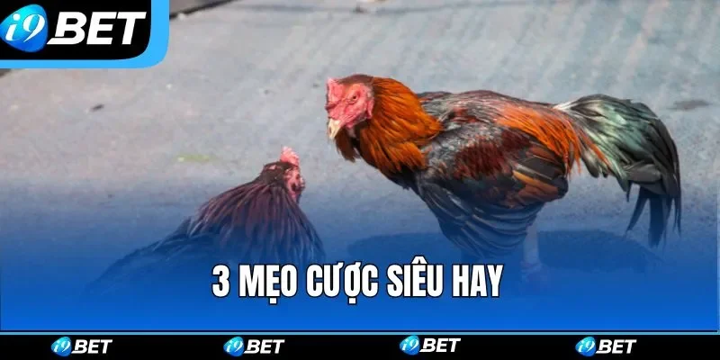 3 mẹo cược siêu hay