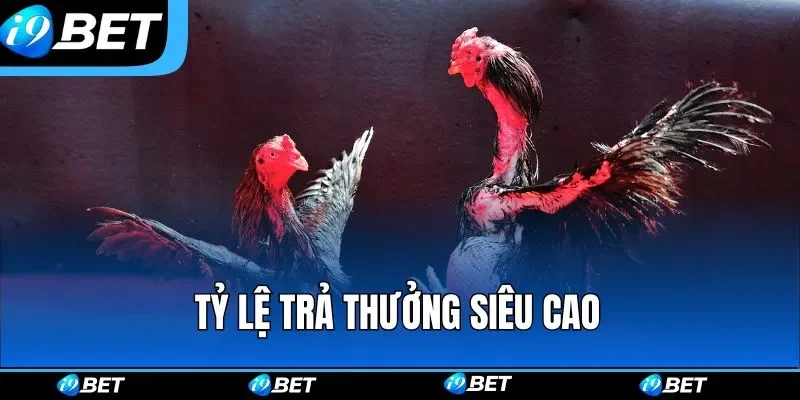 Tỷ lệ trả thưởng siêu cao