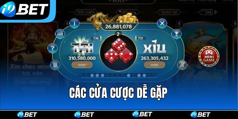 Các cửa cược dễ gặp