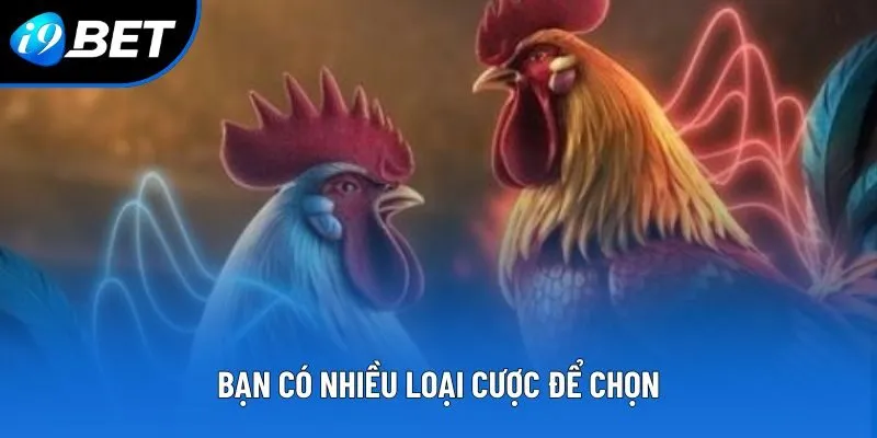 Bạn có nhiều loại cược để chọn Bạn có nhiều loại cược để chọn
